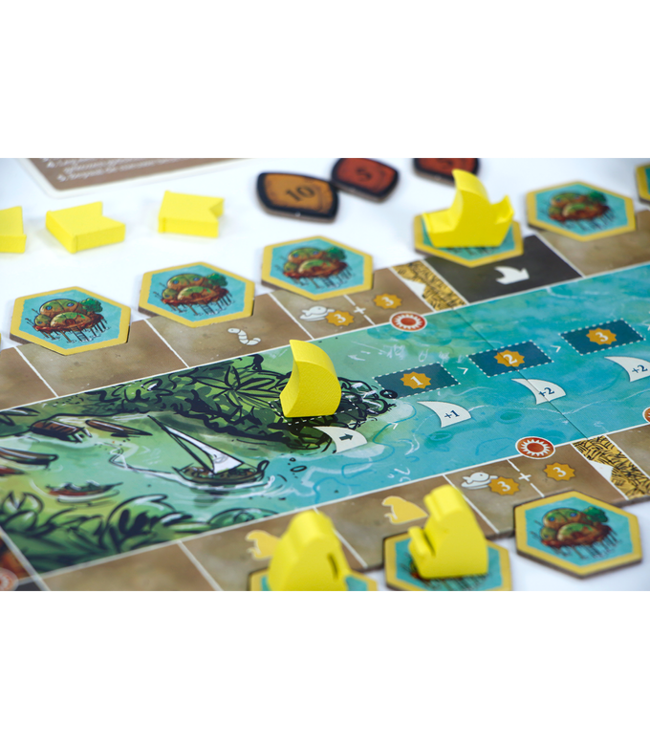 Feya's Swamp (NL) - Board game