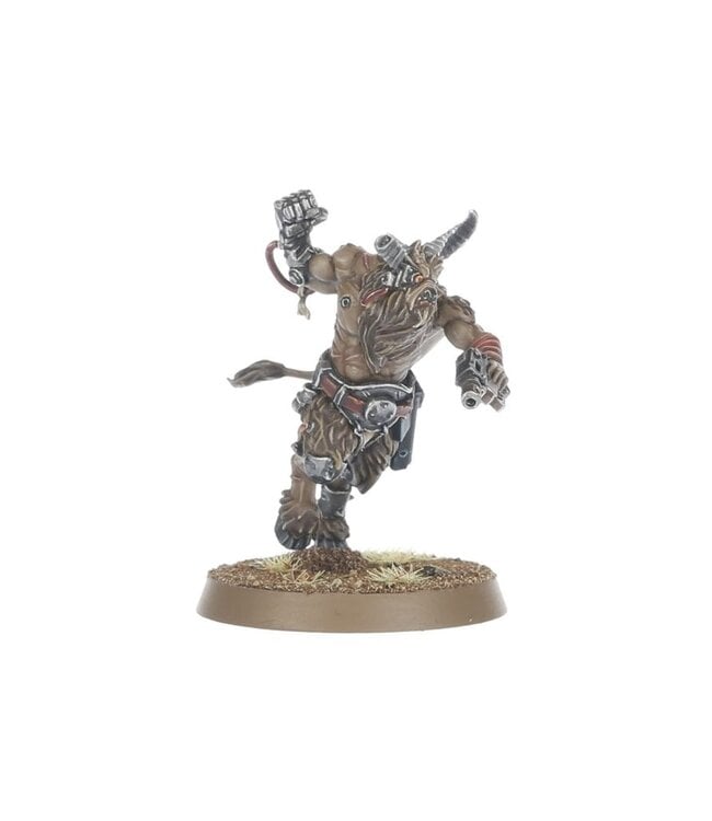 Warhammer 40,000 - Chaos Space Marines: Fellgor Beastmen
