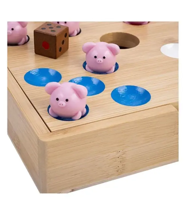 Piggy Hole Spel - Dobbelspel
