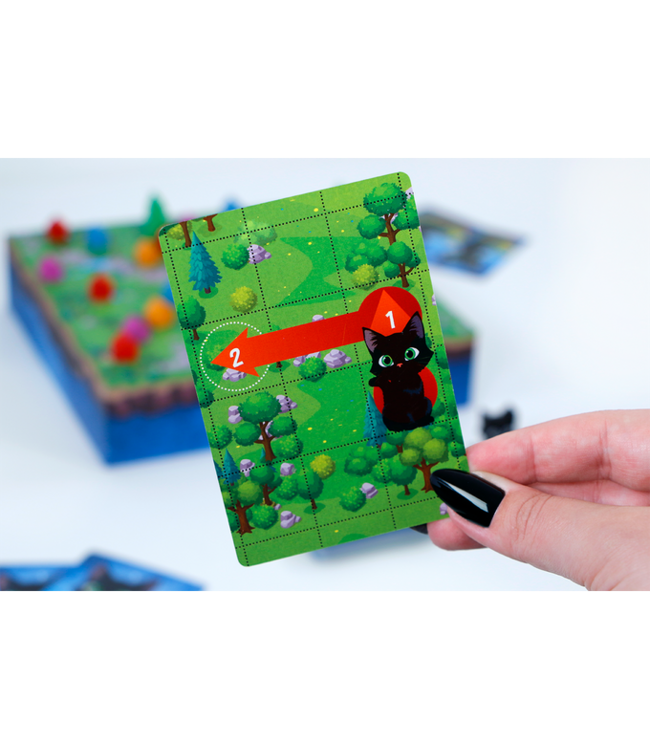Kattenkwaad (NL) - Brettspiel