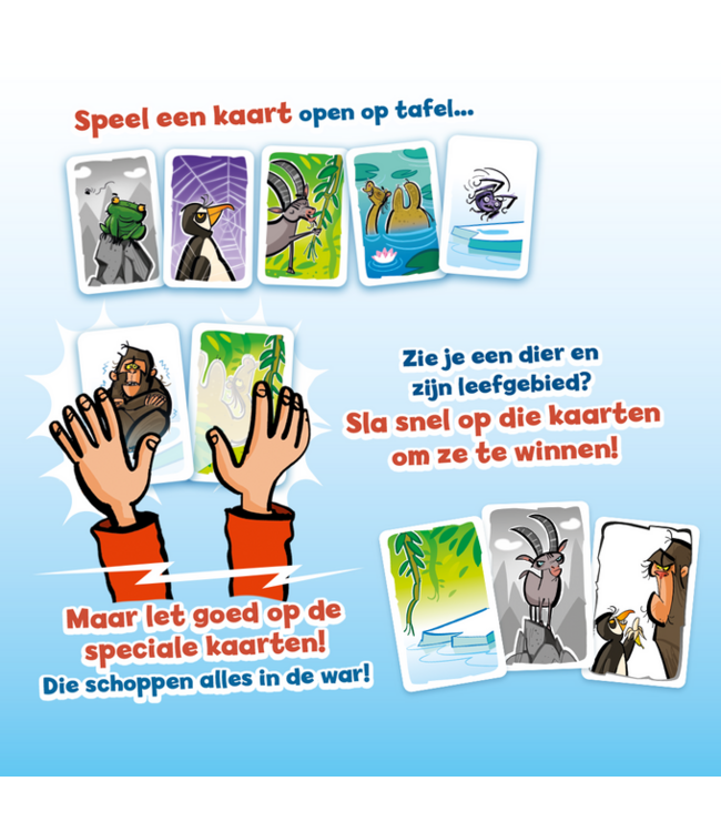 Op Glad Ijs (NL) - Kaartspel