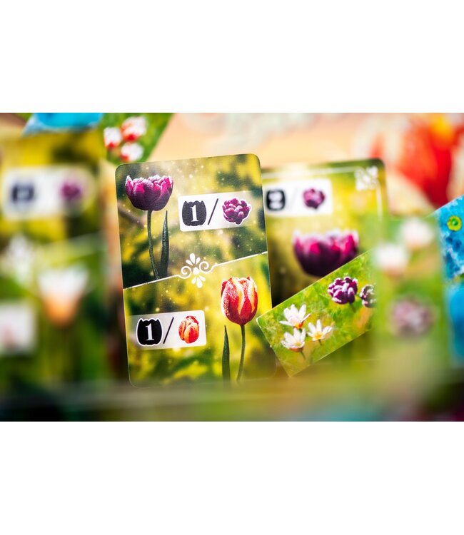 Frosted Blooms (NL) - Bordspel