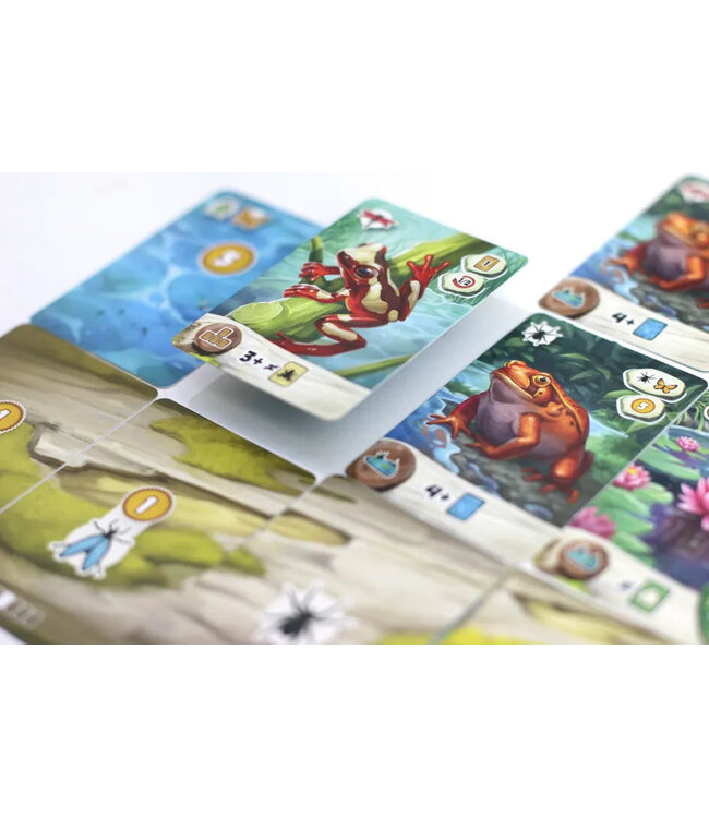 Pondscape (NL) - Card game