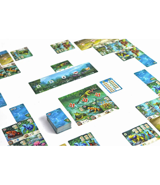 Pondscape (NL) - Kartenspiel