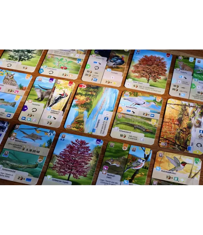 Forest Shuffle: Smoky Mountains (NL) - Bordspel