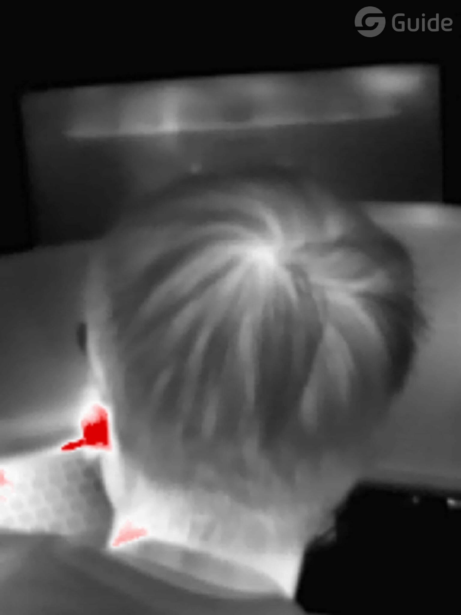 MobIR 2S Warmtebeeldcamera met 256x192 Pixel, 25HZ en Autofocus