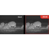 Falcon FH25 Nachtzichtcamera met 384 x 288 Pixels, 50Hz en 8x zoom