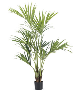 Piante Finte Interno Areca Palma 170 Cm Piante Artificiali Da Esterno Palma  Fint