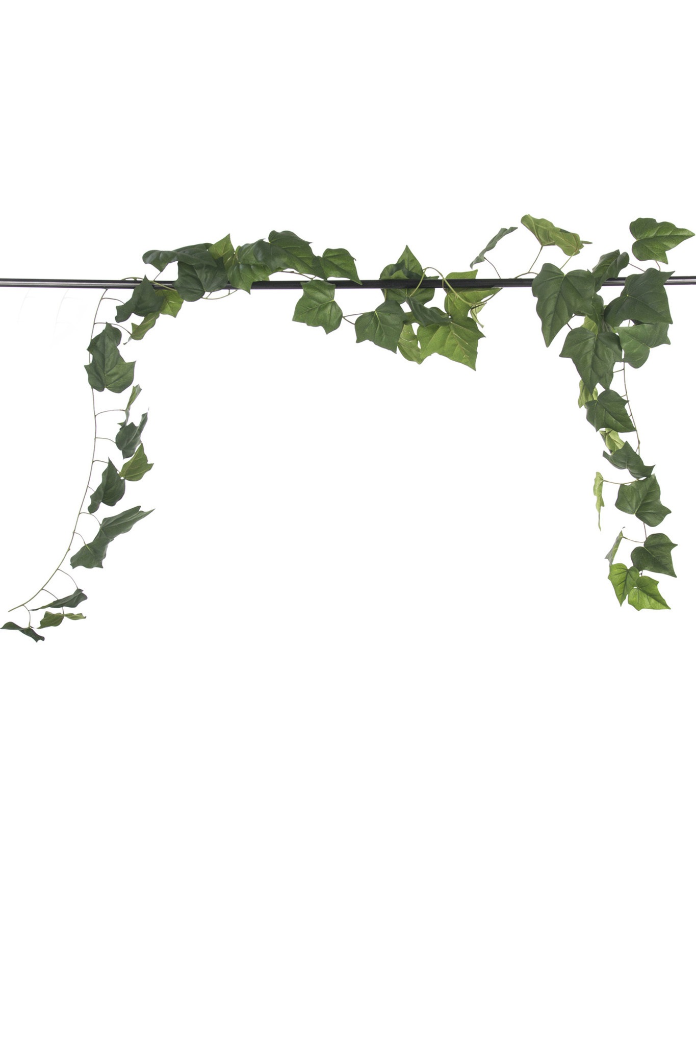 Edera artificiale pendente 340 cm - Easyplants