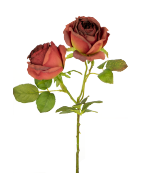 Rose nere artificiali 25/50 pezzi di Rose nere artificiali Bouquet