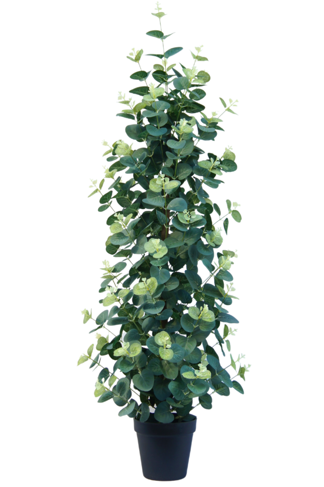 Pianta artificiale Eucalipto 91 cm - Easyplants