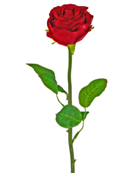 Acquistare rose artificiali della migliore qualità a - Easyplants