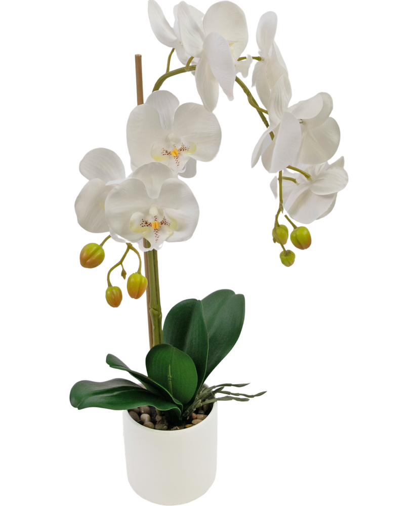 Orchidea artificiale 52 cm bianca in vaso bianco - Easyplants