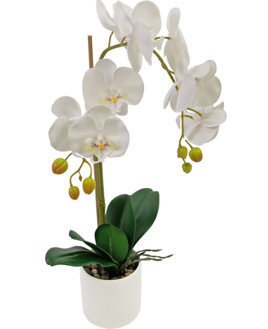 Pianta Artificiale Orchidea H75 cm con Vaso Bianco