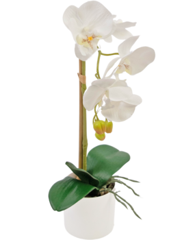 Orchidea d'arte in diversi colori a - Easyplants