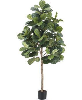 Planta artificial Ficus Planta de tabaco 210 cm - Easyplants