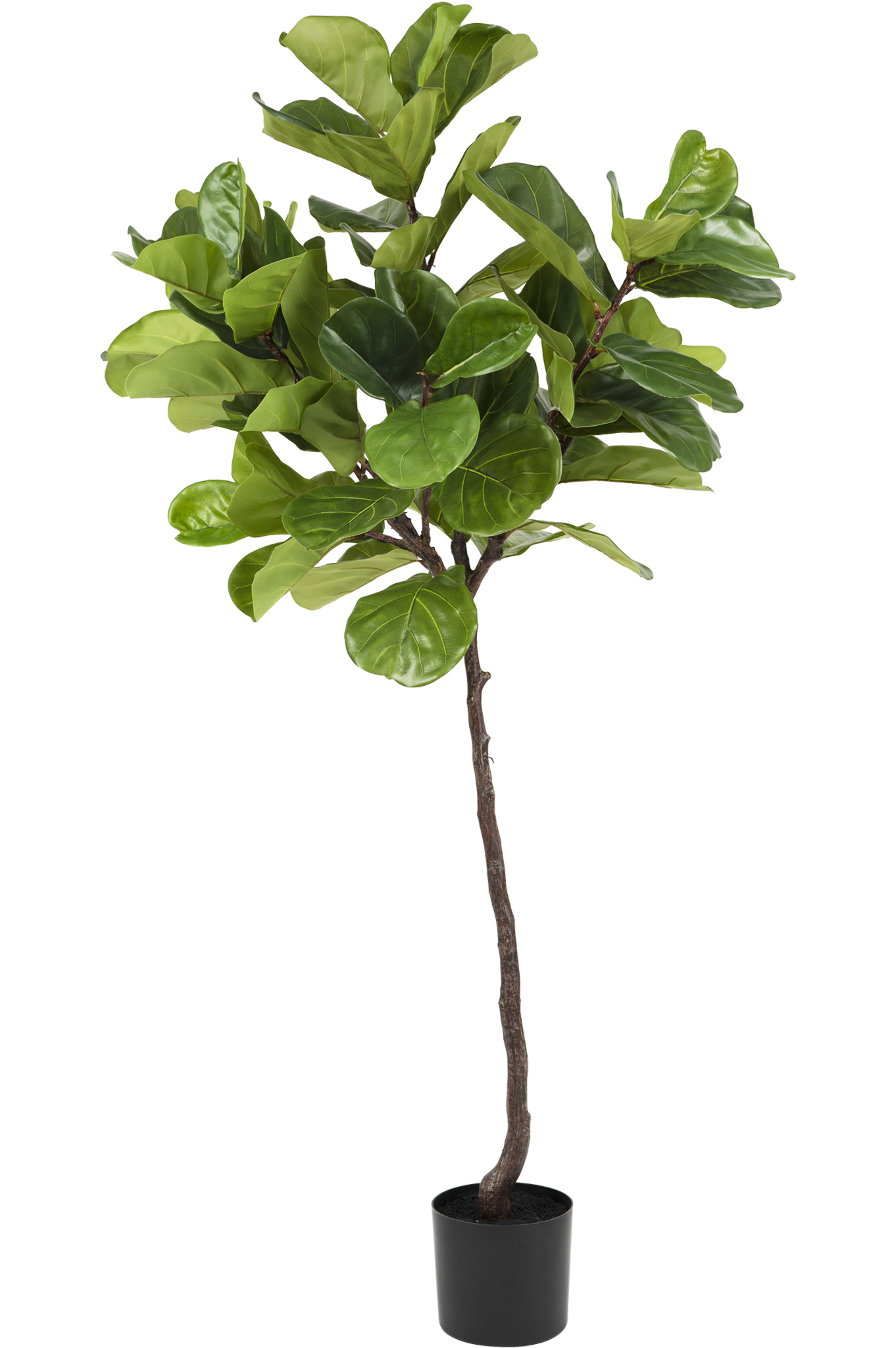 Greenmoods Bonsaï artificiel 70 cm en pot - Greenmoods