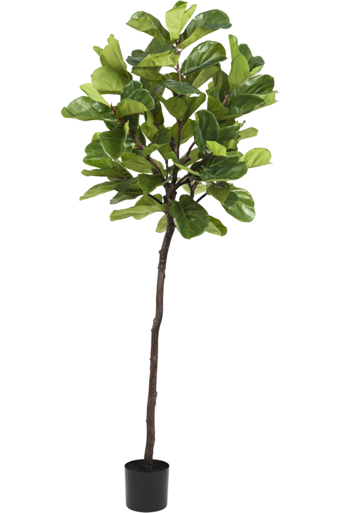 Greenmoods Bonsai artificial de 70 cm en maceta - Greenmoods