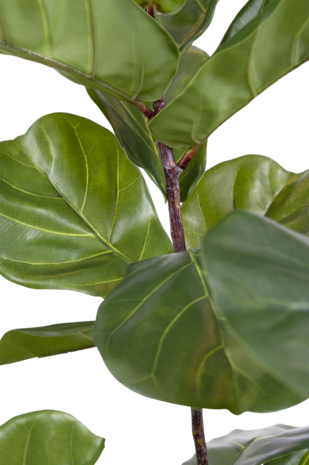 Greenmoods Bonsai artificial de 70 cm en maceta - Greenmoods