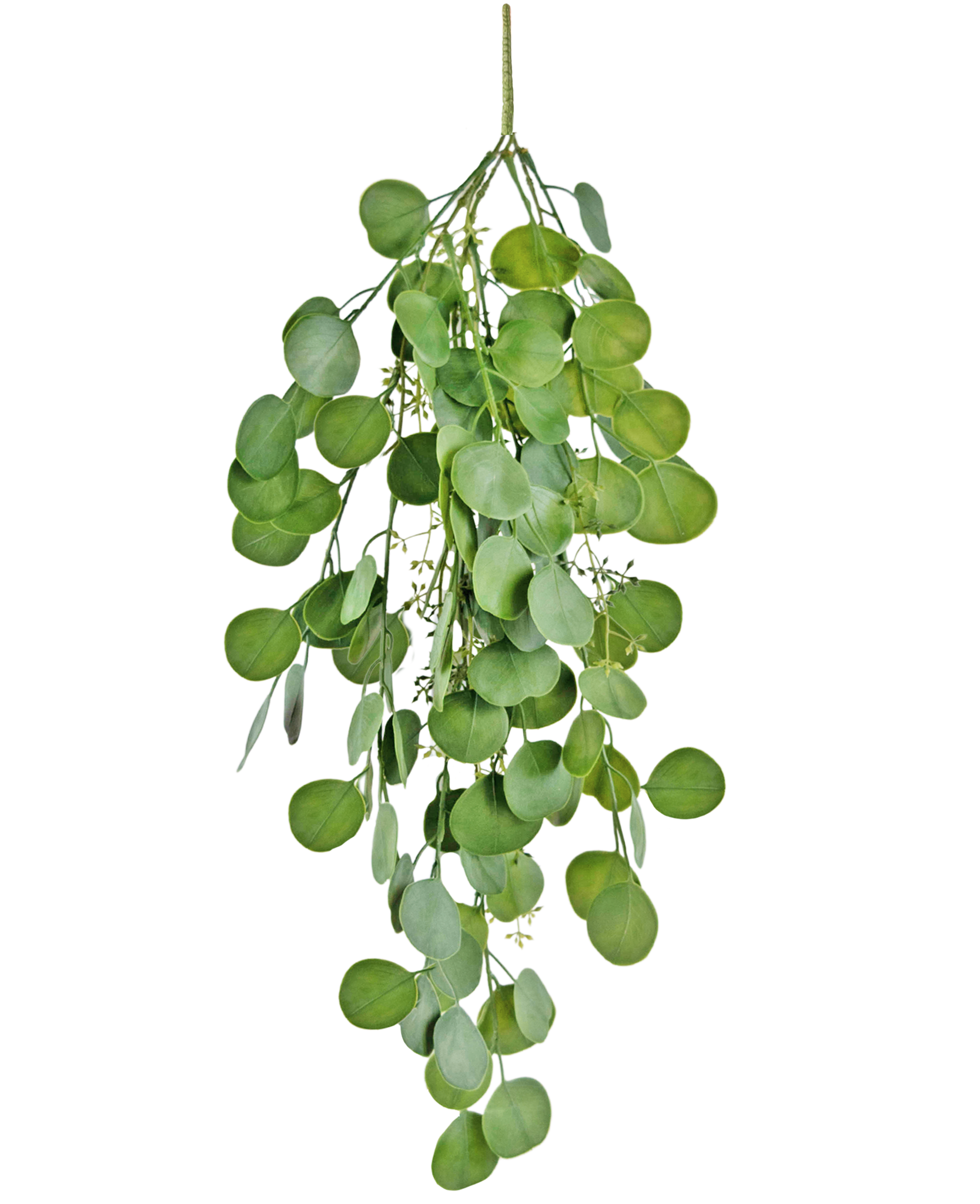 Planta artificial colgante Eucalipto 73 cm - Easyplants