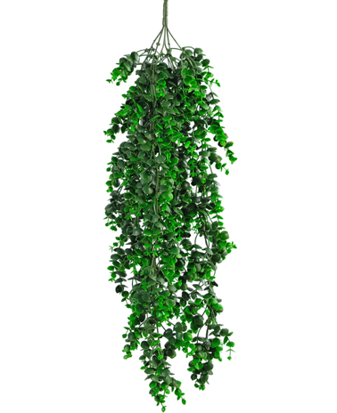 Planta colgante artificial Eucalipto 80 cm UV - Easyplants