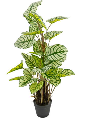 Plantas colgantes artificiales - Greenmoods