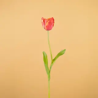 Tulipanes artificiales de Easyplants