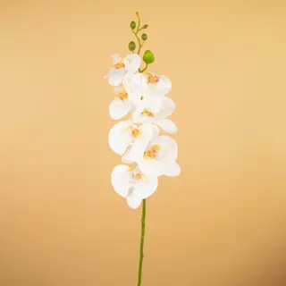 Orquídea artificial