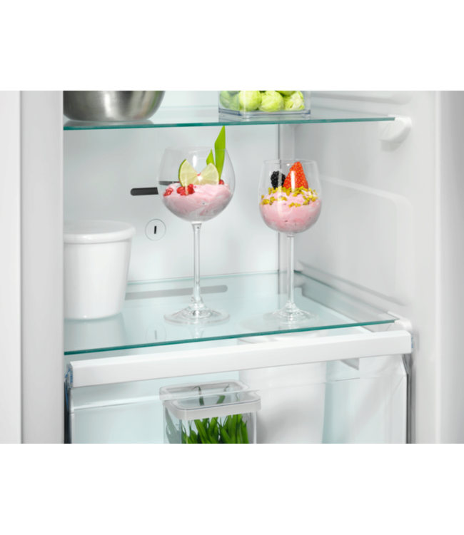 AEG Inbouw vriezer NoFrost 178 cm TB7NA181ES