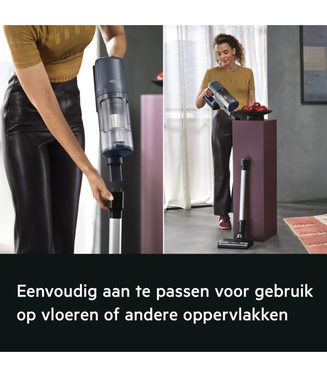 AEG ANIMAL 6000 Steelstofzuiger tot 50 min gebruiksduur AP61AB21DB