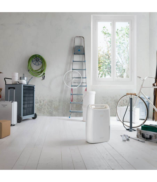 Delonghi Tasciugo AriaDry DEX210SF