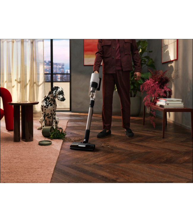 AEG 8000 Steelstofzuiger tot 90 min gebruiksduur AP82A25SHX