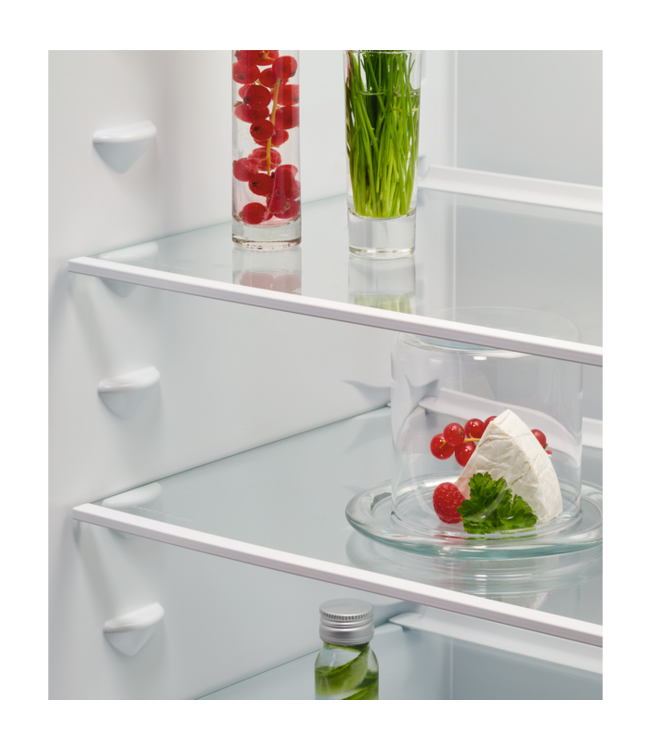 AEG 6000 TwinTech® NoFrost - Koel/vrieskast inbouw 178 cm  NSC6N18ZES