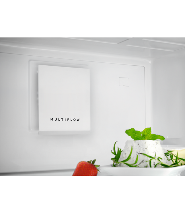 AEG Koelkast vrijstaand 186 cm ORK7M391DW