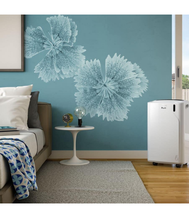 Delonghi Pinguino EM-serie PACEM82K.1