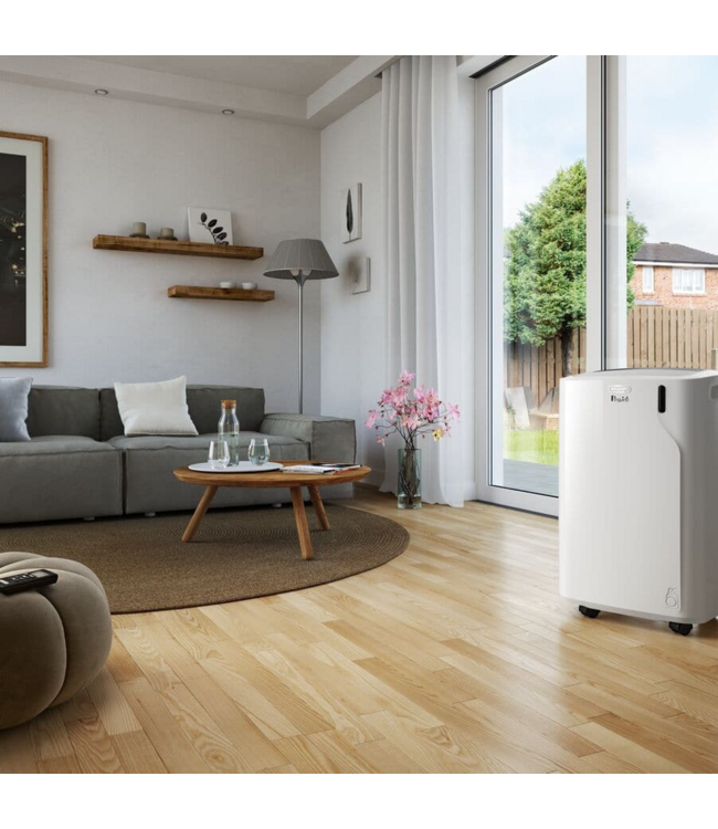 Delonghi Pinguino EM-serie PACEM82K.1