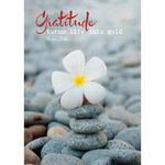 Zintenz Ansichtkaart Gratitude turns life BS01