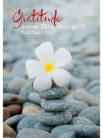 Zintenz Ansichtkaart Gratitude turns life