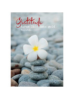 Zintenz Ansichtkaart Gratitude turns life BS01