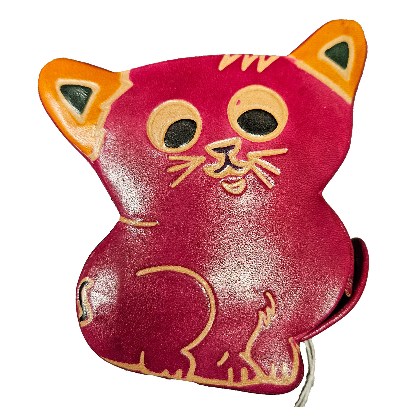 Wilma's Wereld Leren Spaarpot poes - India