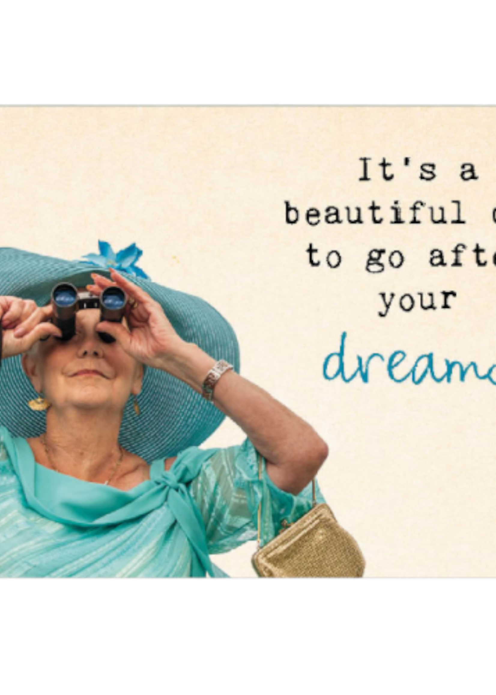 Zintenz Ansichtkaart It's a beautiful day TL171