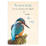Zintenz Ansichtkaart The secret of life TL182