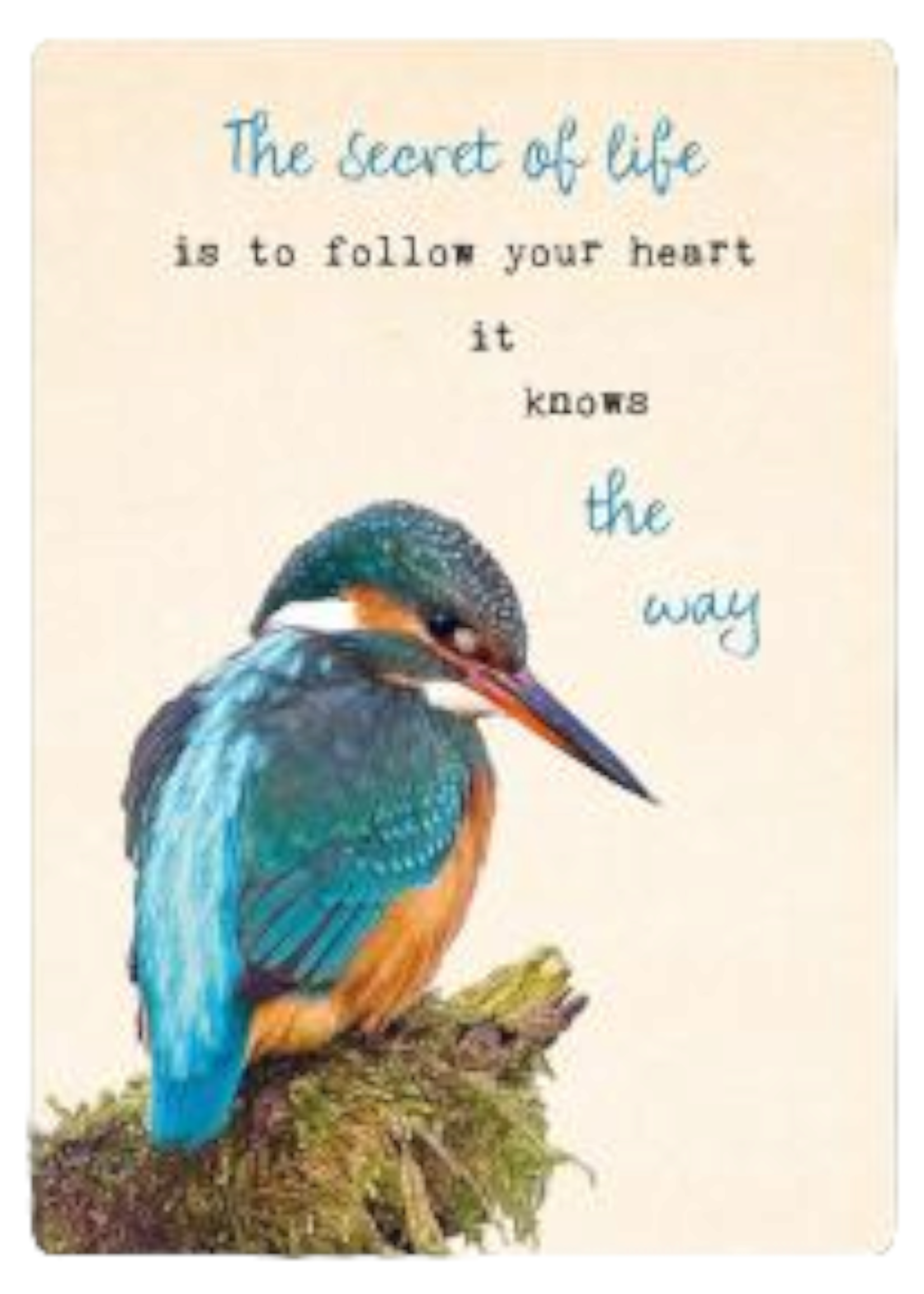 Zintenz Ansichtkaart The secret of life TL182