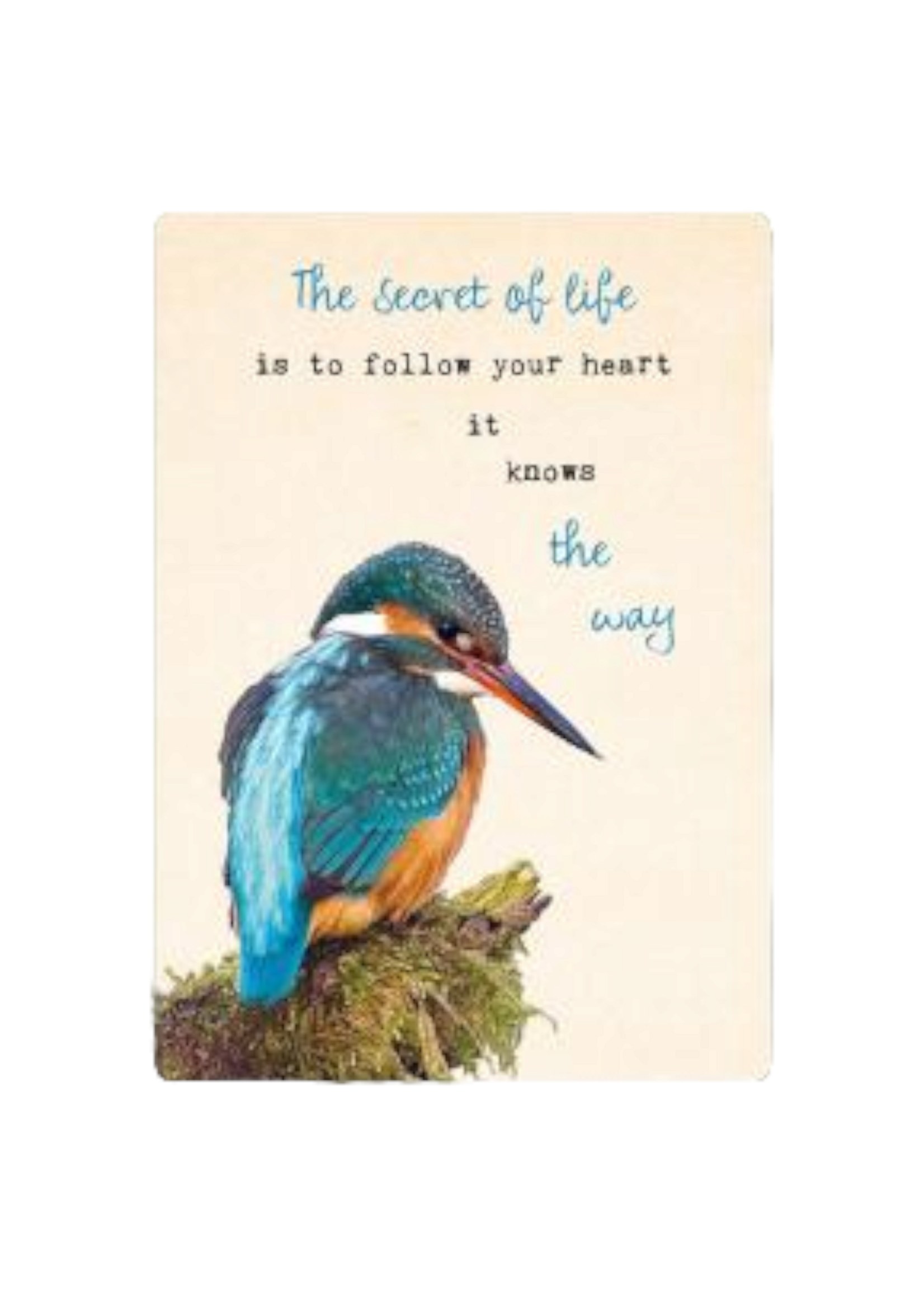 Zintenz Ansichtkaart The secret of life TL182