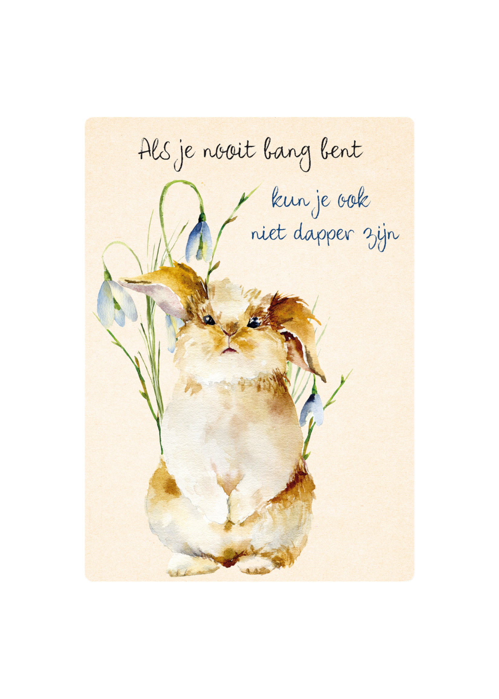 Zintenz Ansichtkaart Als je nooit bang bent K36