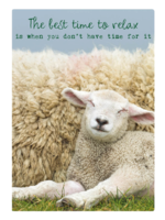 Zintenz Ansichtkaart The best time to relax TL178