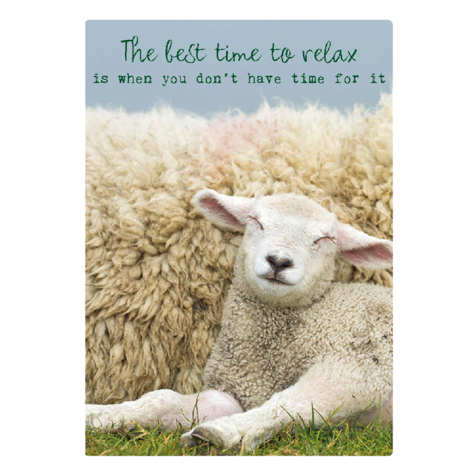 Zintenz Ansichtkaart The best time to relax TL178