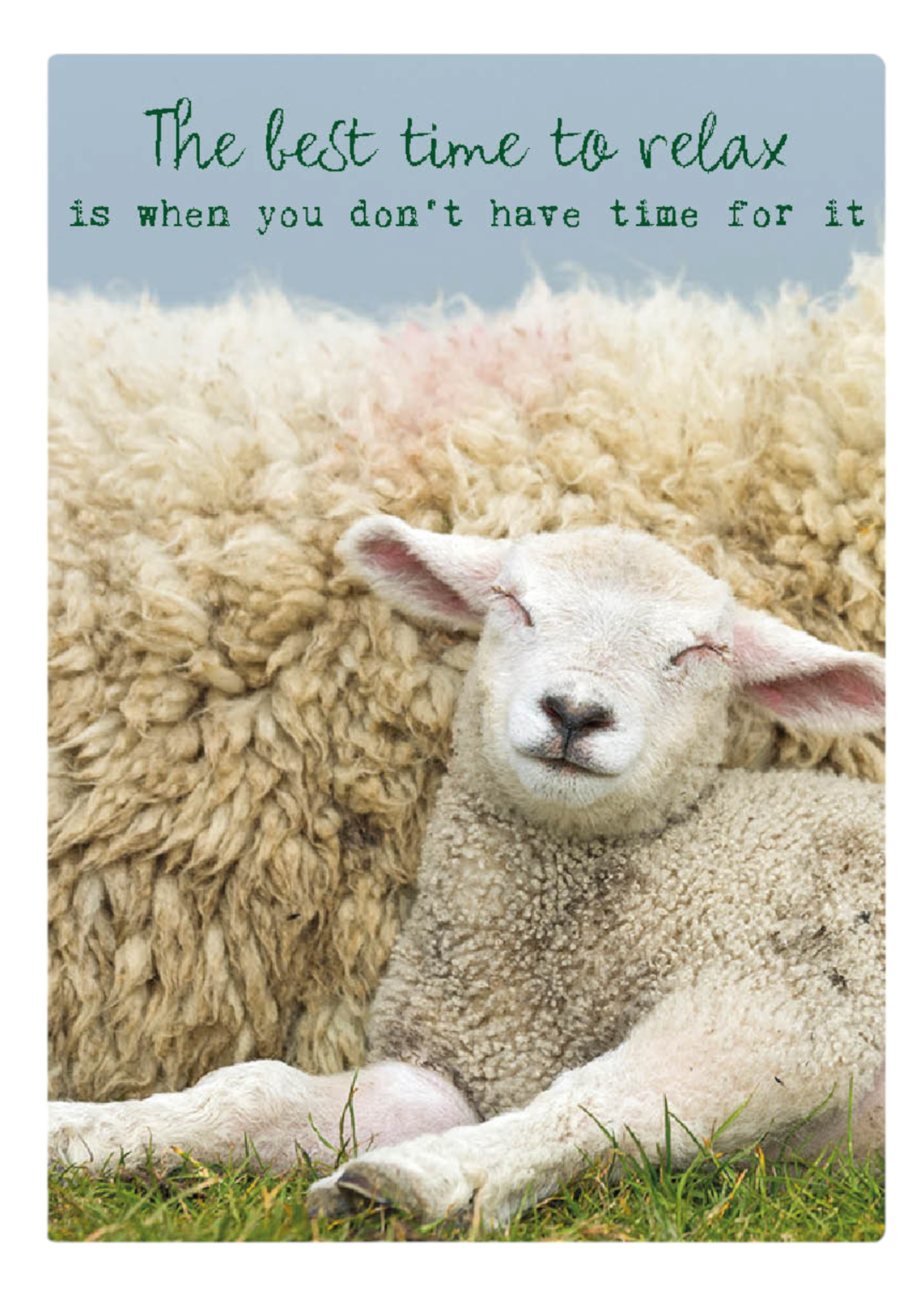 Zintenz Ansichtkaart The best time to relax TL178