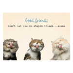 Zintenz Ansichtkaart Good friends don't let you do stupid things TL176
