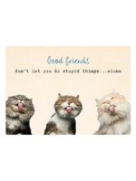 Zintenz Ansichtkaart Good friends don't let you do stupid things TL176
